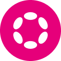 polkadot icon